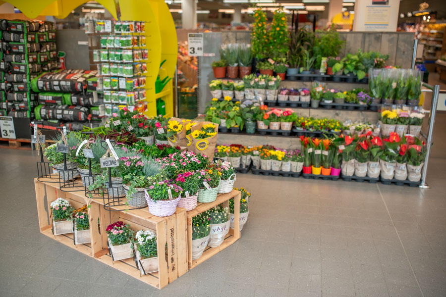 Blumen