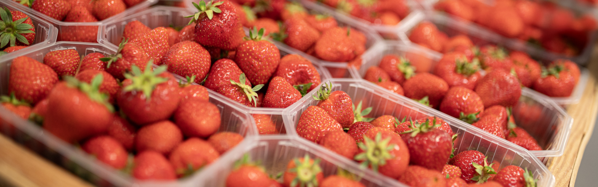 Erdbeeren Erdbeeren