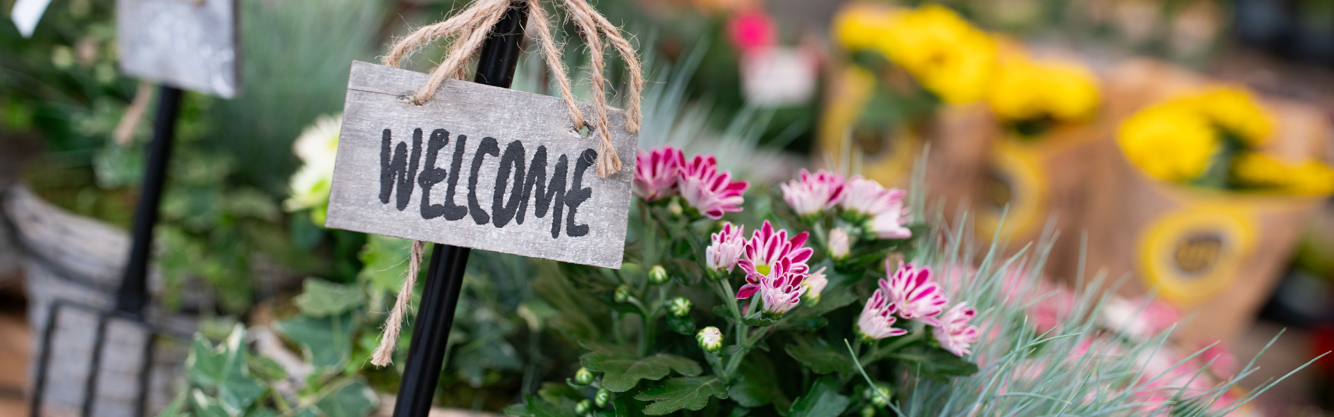 Welcome